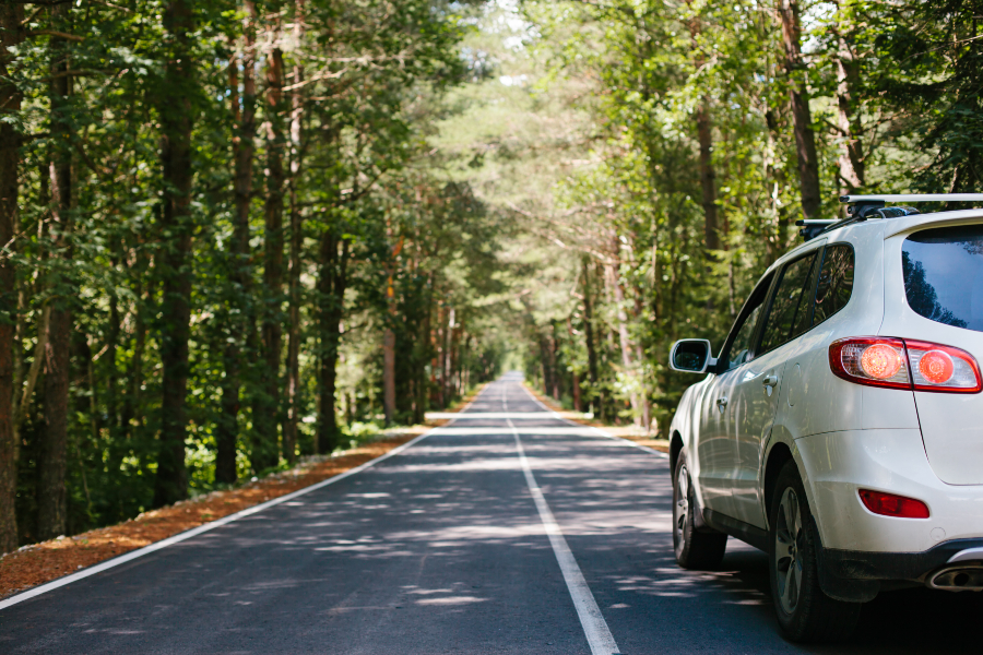 Car driving along tree shaded road.