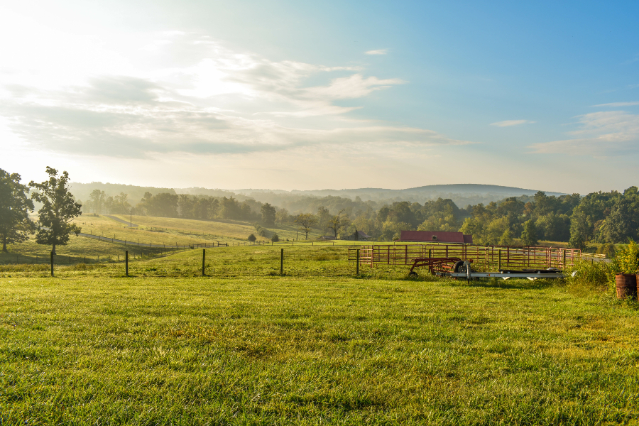 View of grass full fields.